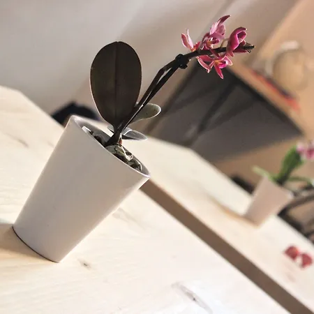 La Casa Del Corallo לינה וארוחת בוקר 3*